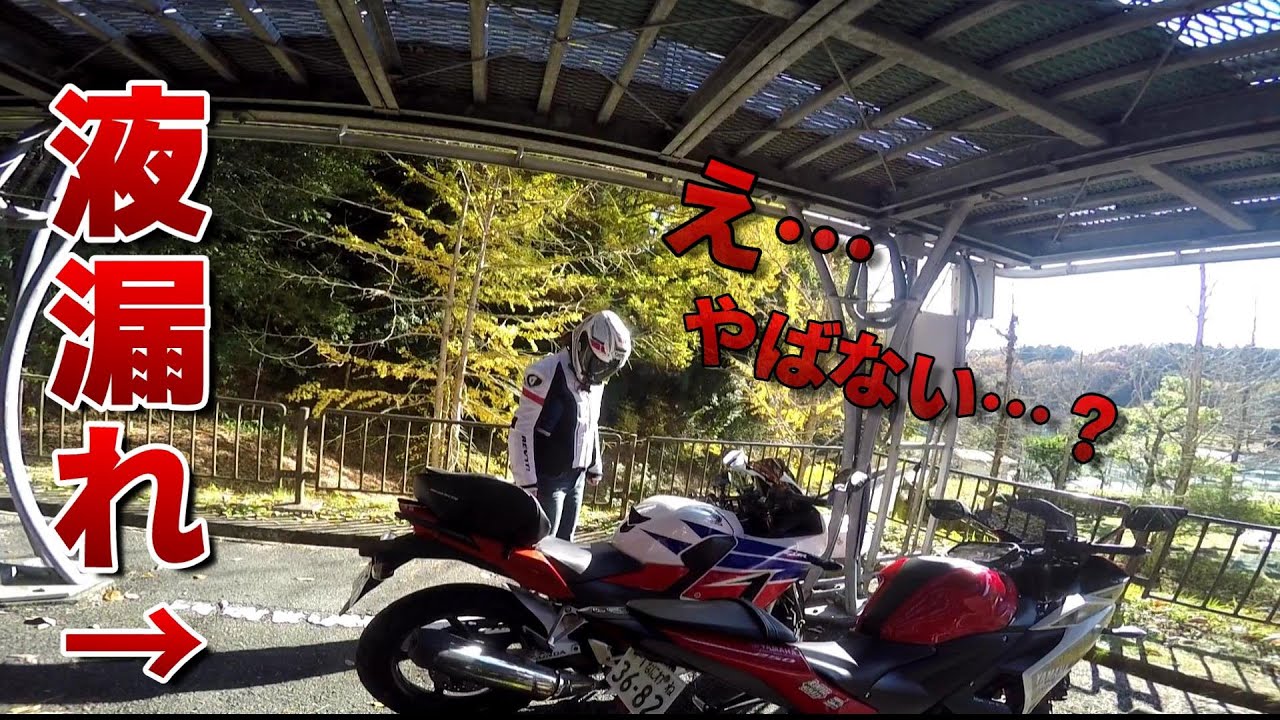 嫁の愛車壊してみた【バイク女子】