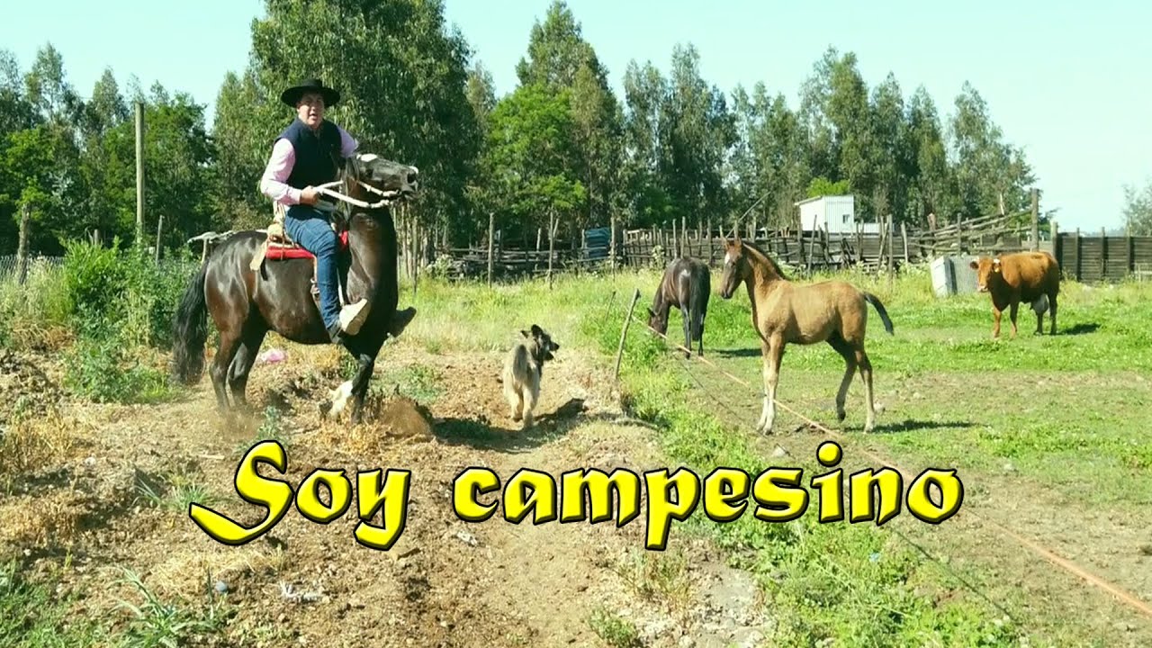 Revolución Tropical - Soy campesino - (Video Oficial)