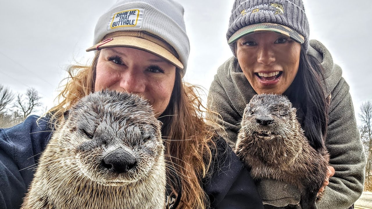 How To Make a Submerged Culvert Set For Otters