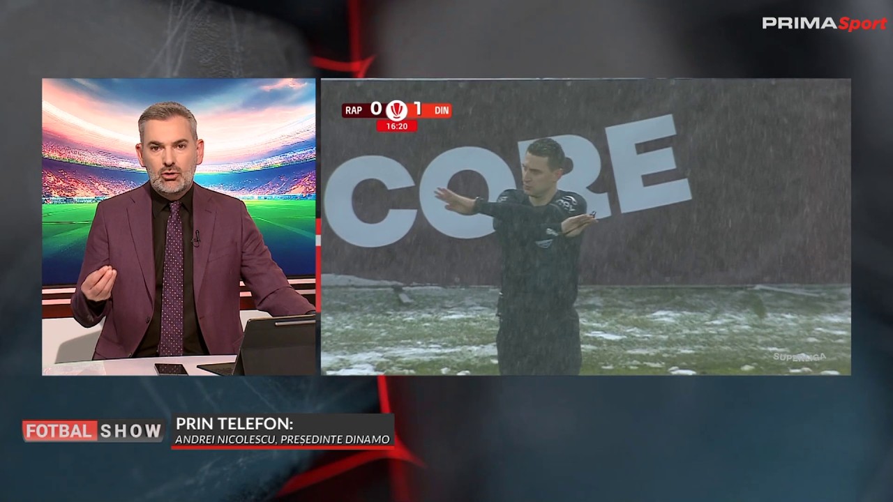 Nicolescu: 