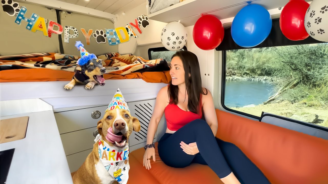 Van Camping a Hidden Desert Oasis & Camp’s Bday Bash | Wilson Canyon, NV