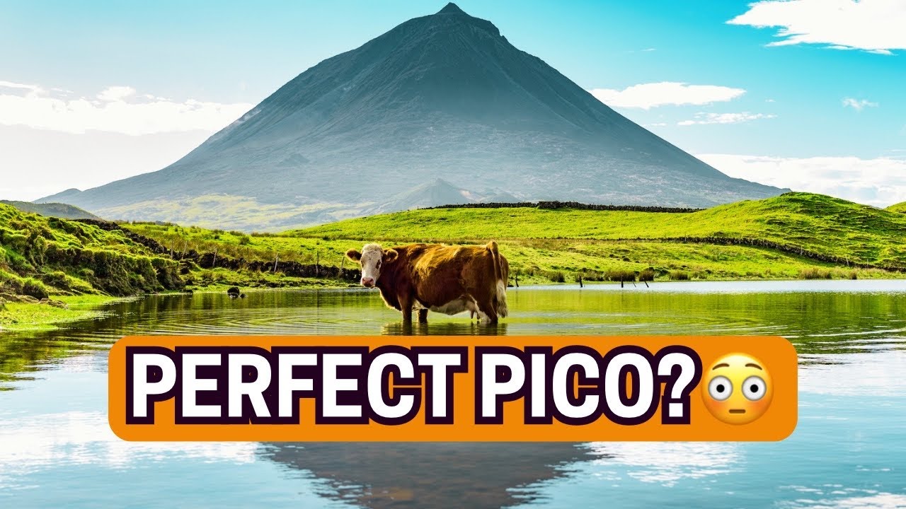 Unexpected end to PICO road trip