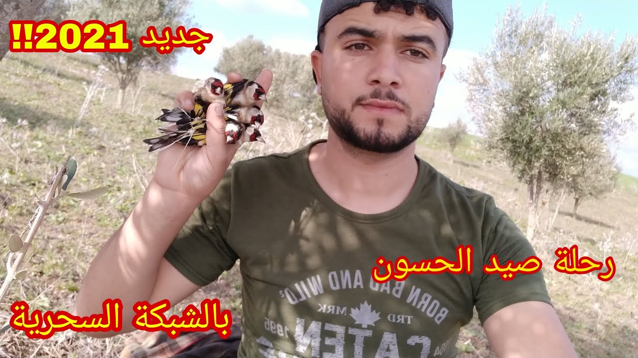رحلة صيد الحسون المهاجر بالشبكة الهوائية شمال المغرب 2021