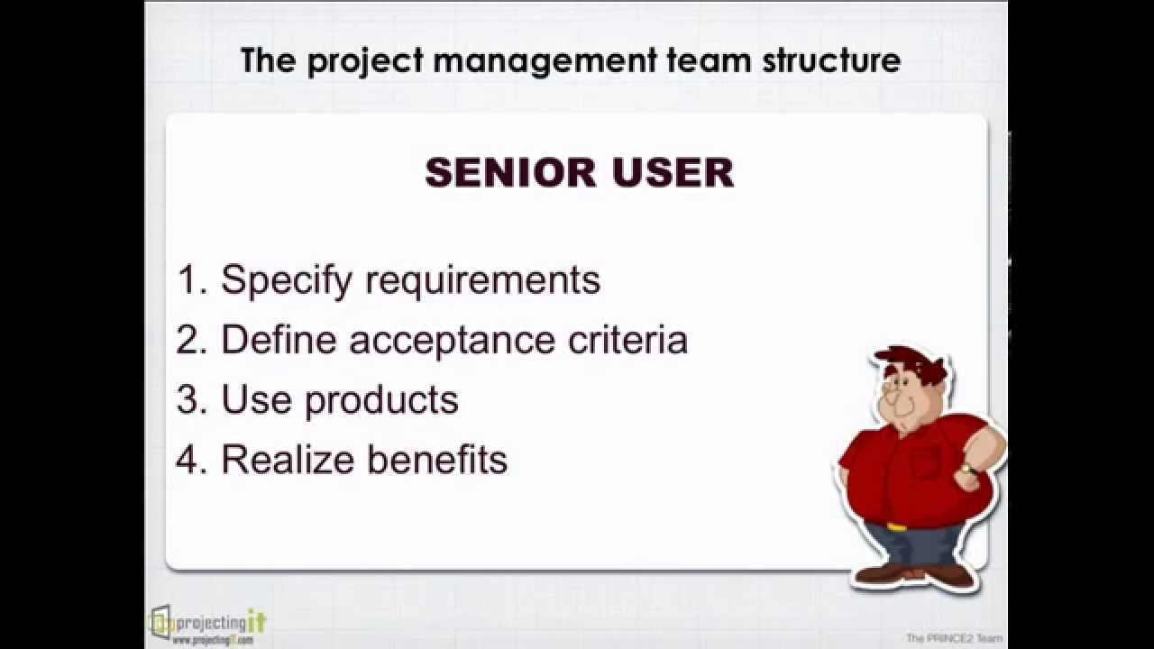 PRINCE2 Team
