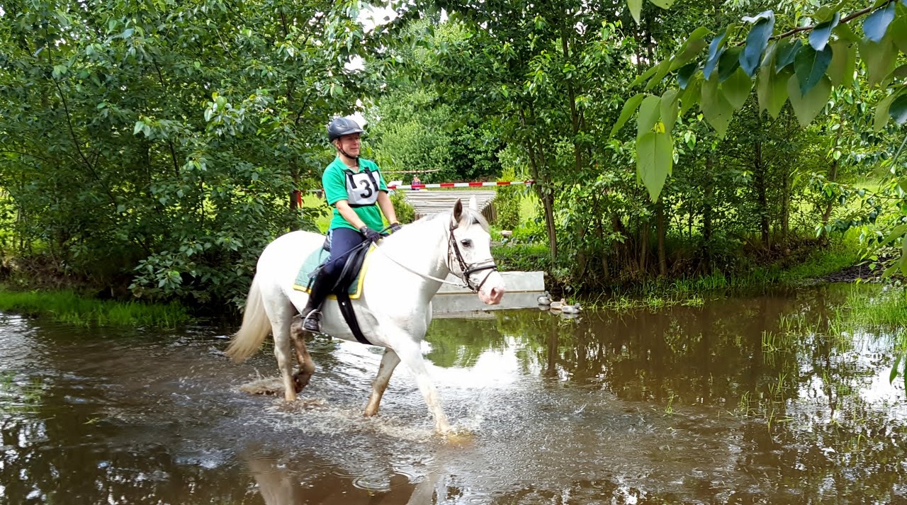 Paardensport TREC Terrein van De Zuidstroom Vinkega fr.