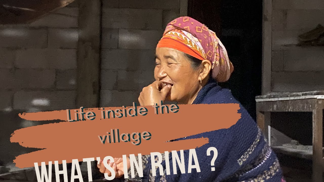 Inside the Life of Tribals. Galo people of Arunachal Pradesh #villagelife #himalayan 