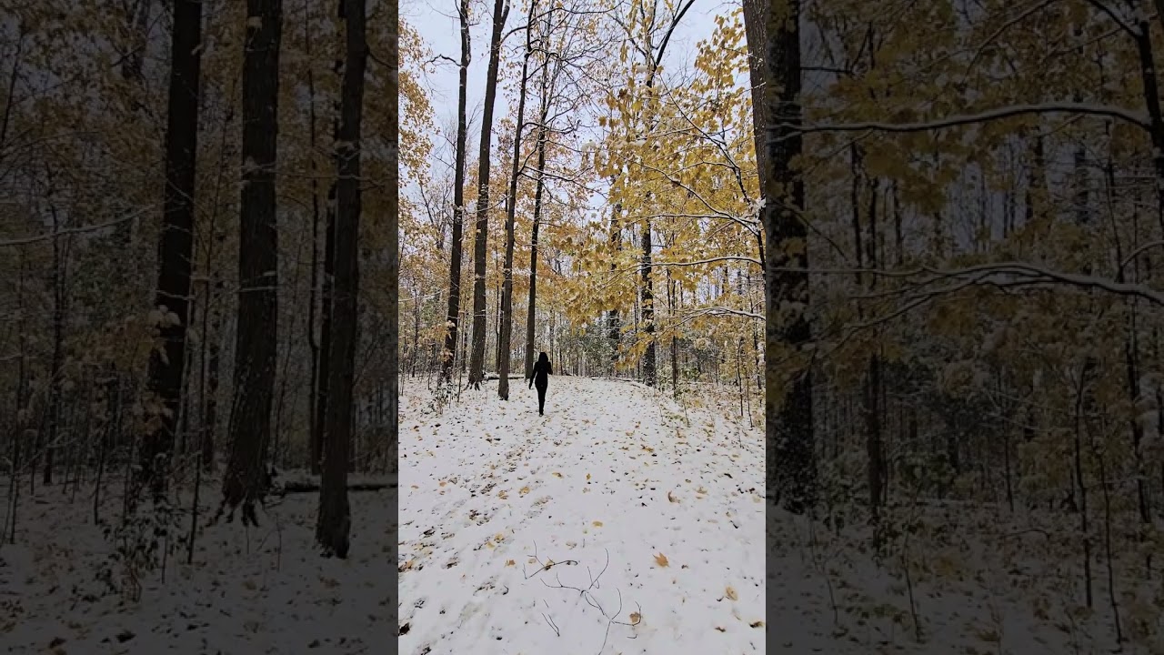 intro1