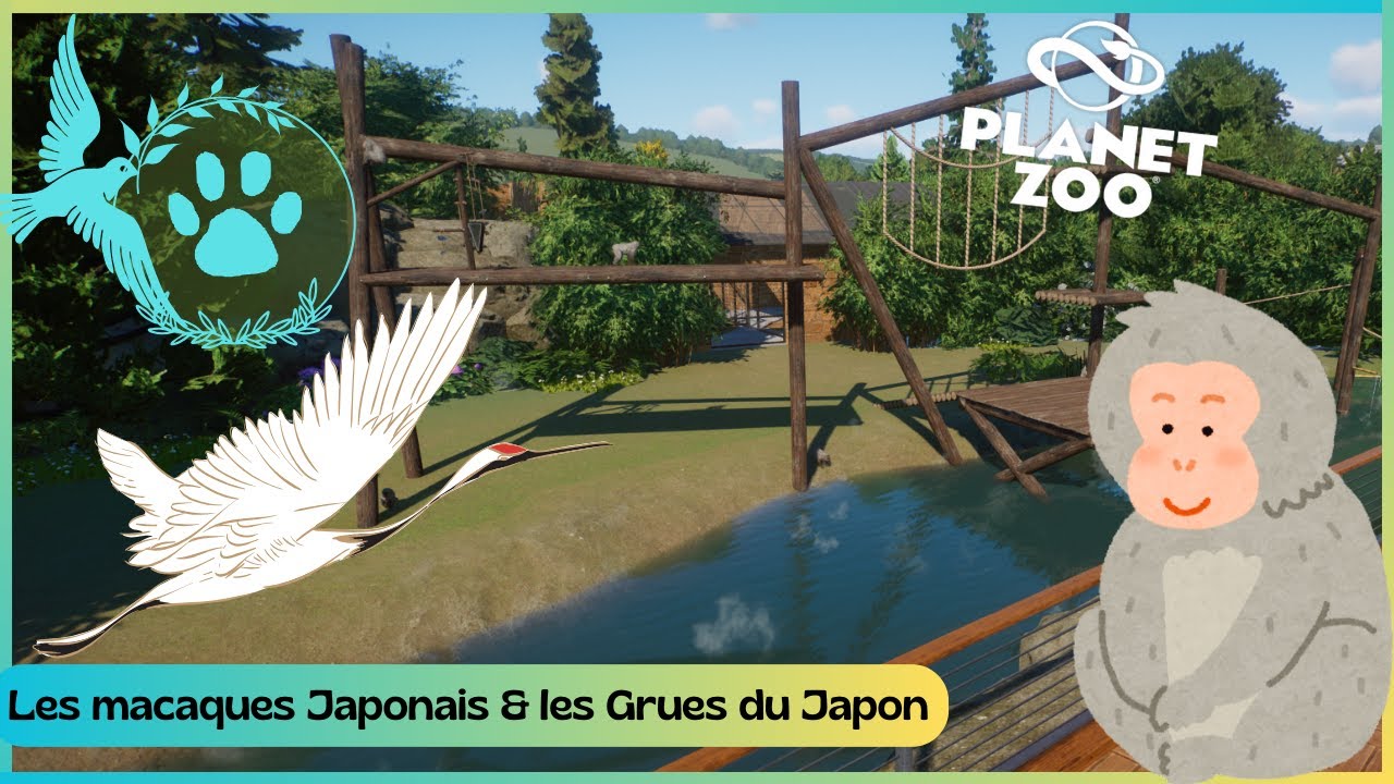 Planet Zoo SpeedBuild - BoParc #75 La source des Macaques et Grue du Japon