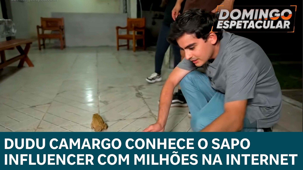 Dudu Camargo conhece o sapo influencer que conquista milhões de visualizações na internet