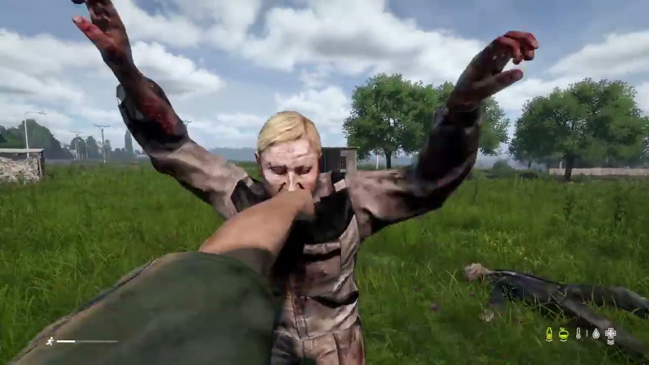 Random chaos in DayZ.