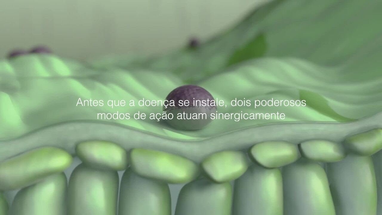 ORONDIS™ Ultra - Vinha
