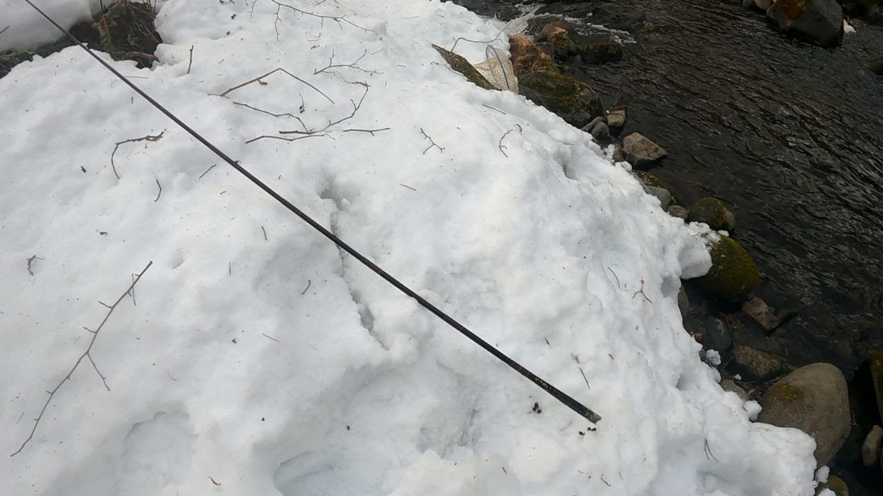 氷点下で渓流竿を使用してはいけません【やっちゃいました】