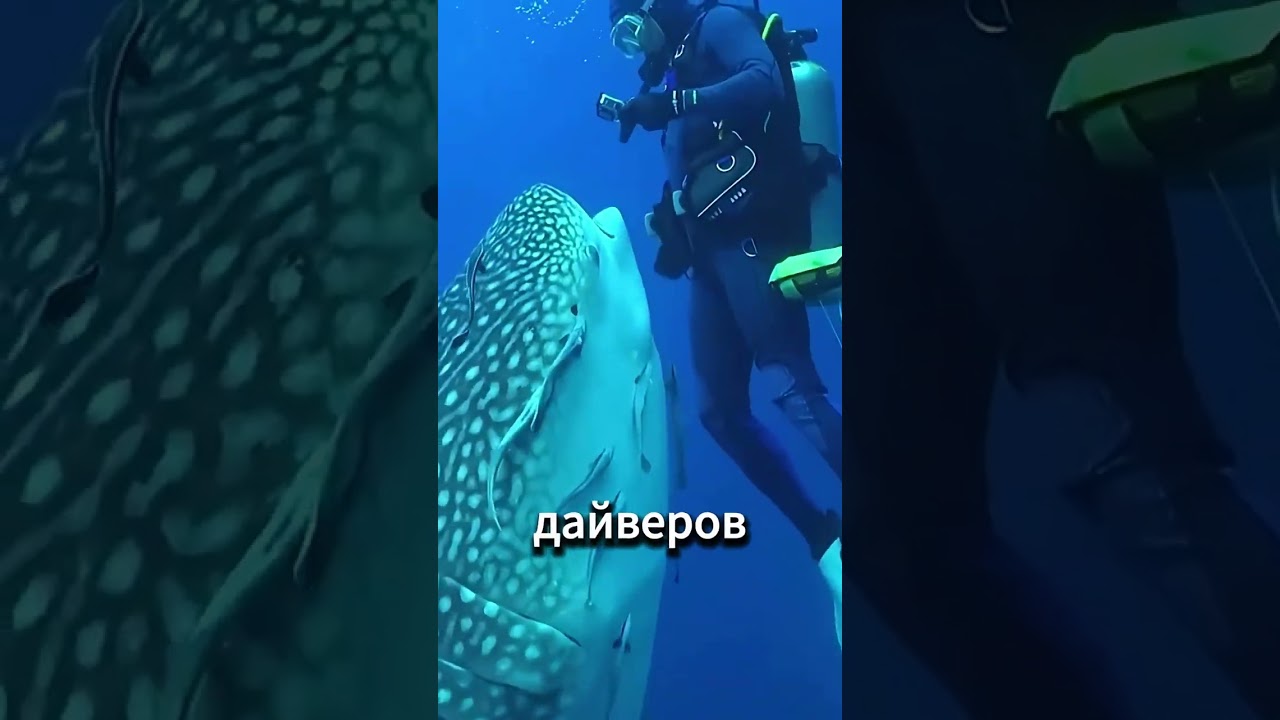 Этот нож может разрушать предметы изнутри  😲