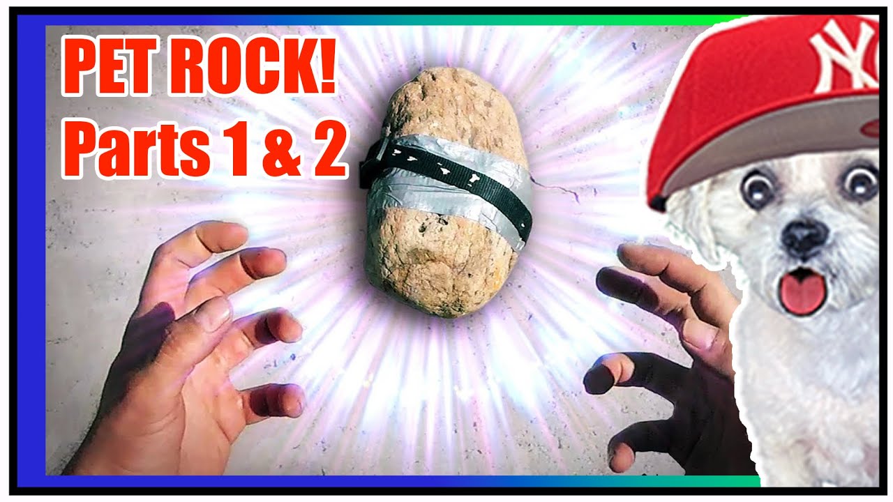 Pet Rock 1 & 2 - Подборка реакций на Buttered Side Down от Chopsicle The Dog