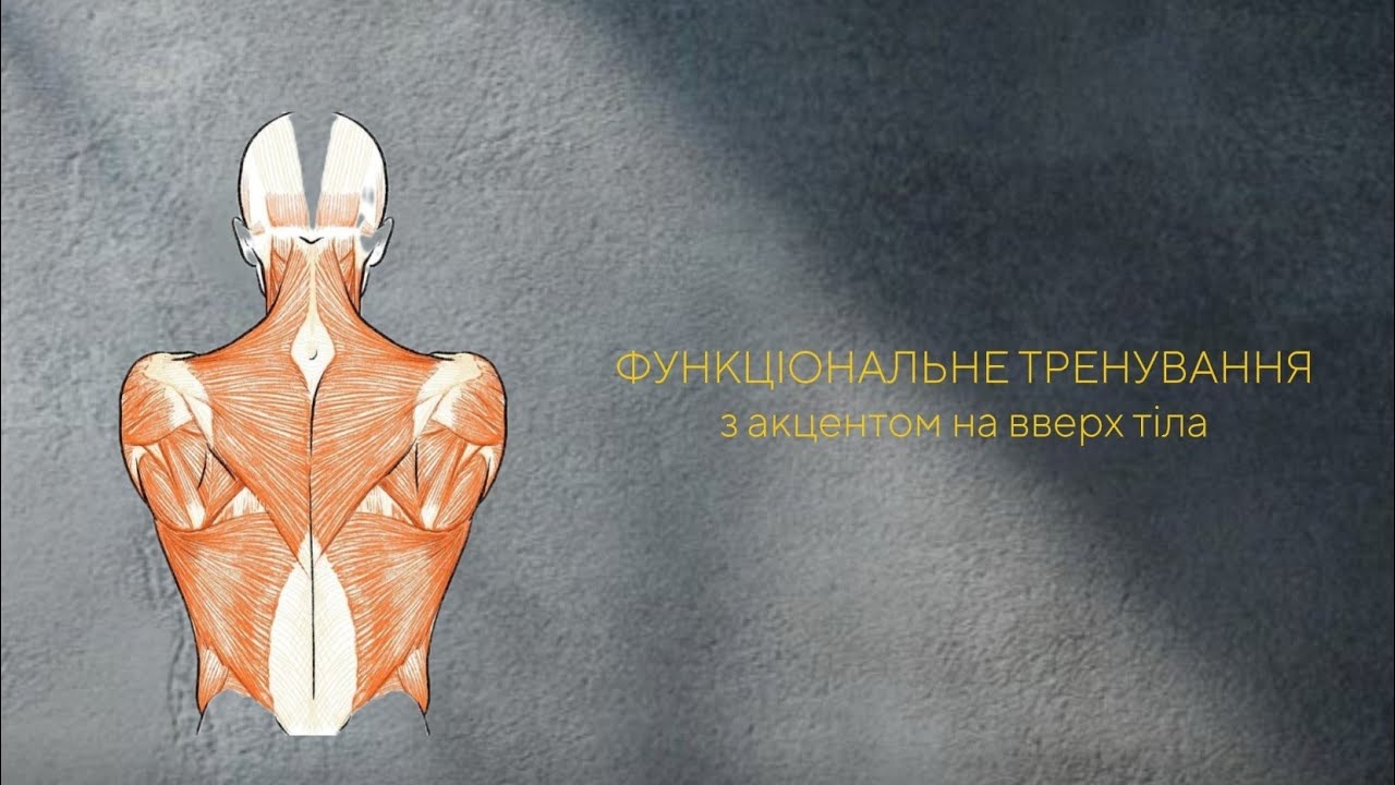 Верх тіла + грудна клітка — функціональне тренування для сили і постави