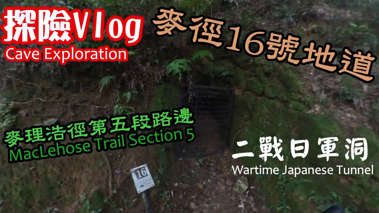 [探險Vlog]麥徑16號地道 二戰日軍洞 防空洞 地洞 畢架山 九龍坳回歸亭中間 麥理浩徑第五段旁邊 戰地遺跡徑（獅子山及馬鞍山）香港保衞戰遺跡 醉酒灣防線 二戰軍事遺跡 No16洞