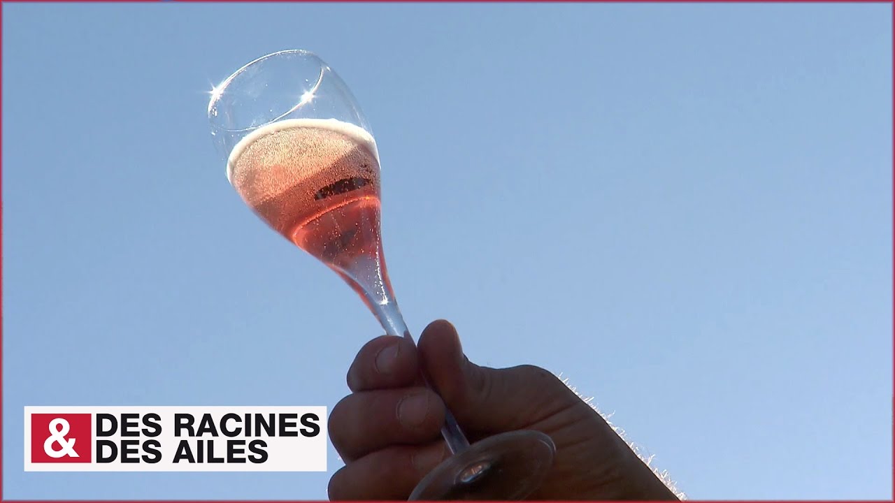 Le Cerdon, un vin naturellement effervescent !