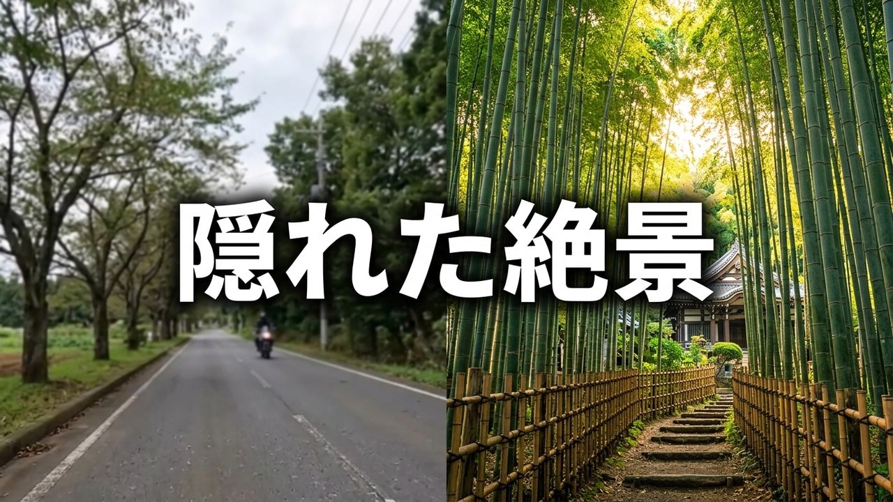 江戸時代の面影を残す「サムライの古径」趣ある竹垣と幻想的な竹林。知らなかった！千葉県佐倉市の「ひよどり坂」がこんなに素敵だった