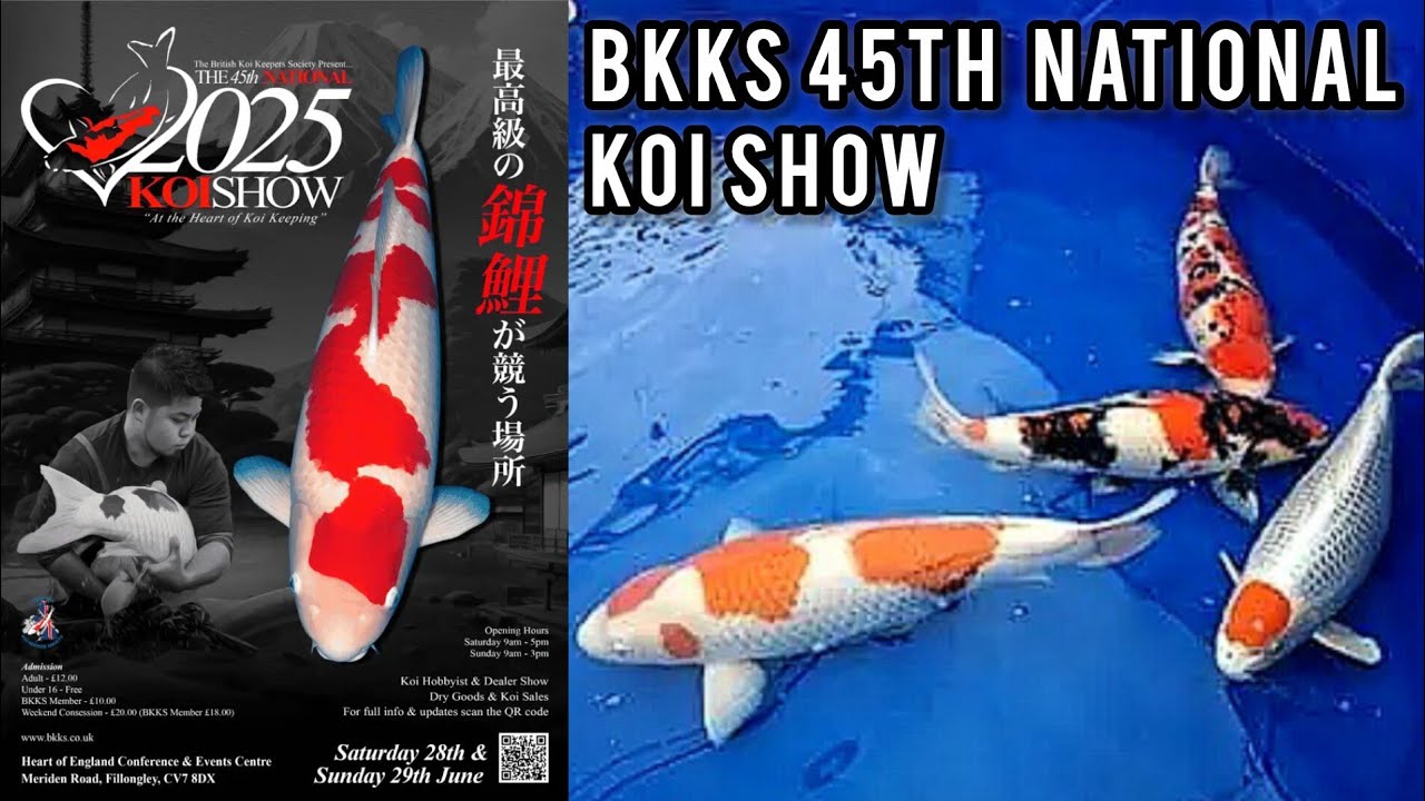 BKKS 45th national koi show 2025