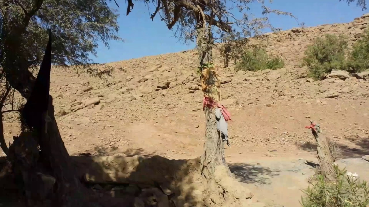 Baag e panjtan mojza (1)