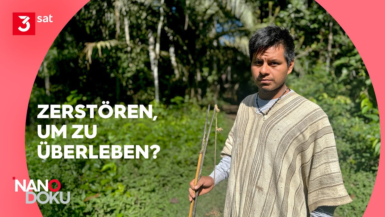 So hart ist der Amazonas in Peru: Nachhaltig leben in mächtiger Natur | NANO Doku