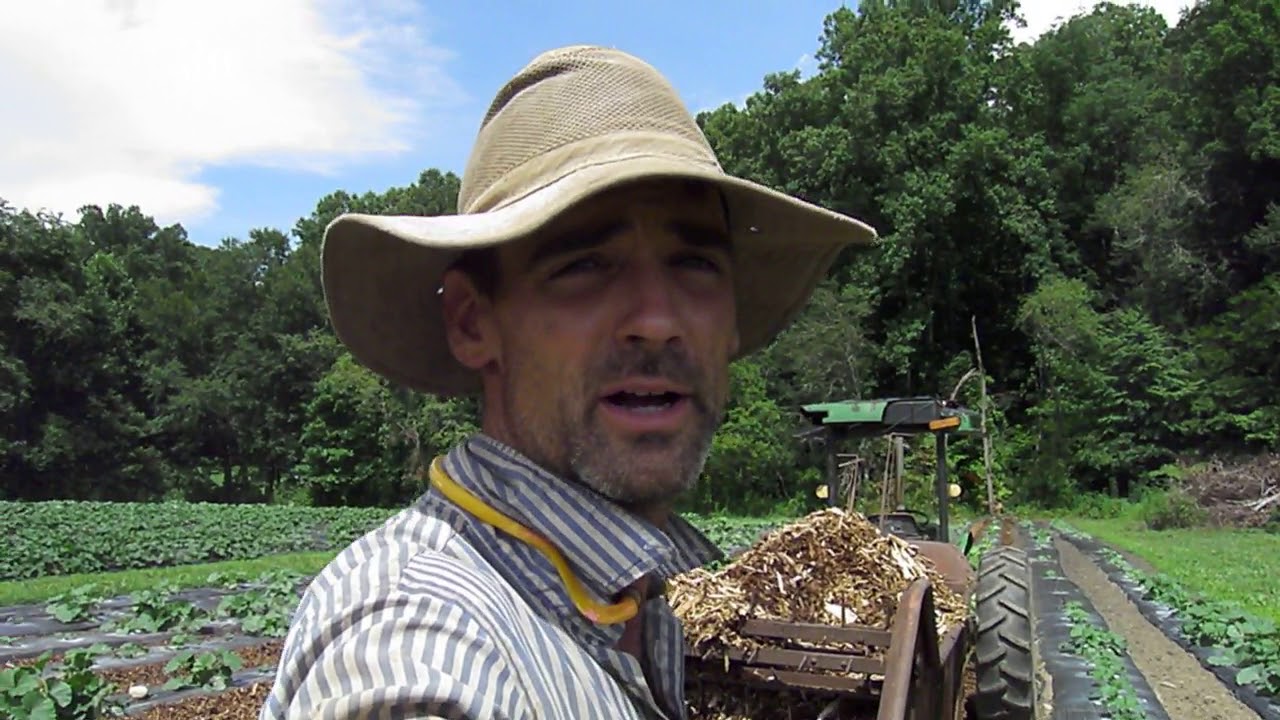 Manure Spreader to Spread Wood Chips Between Beds of Plastic Mulch - 1