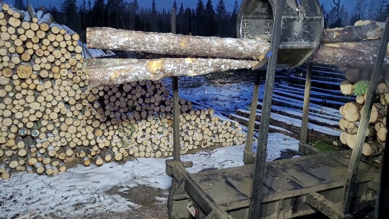 320CLL caterpillar log loader loading logs