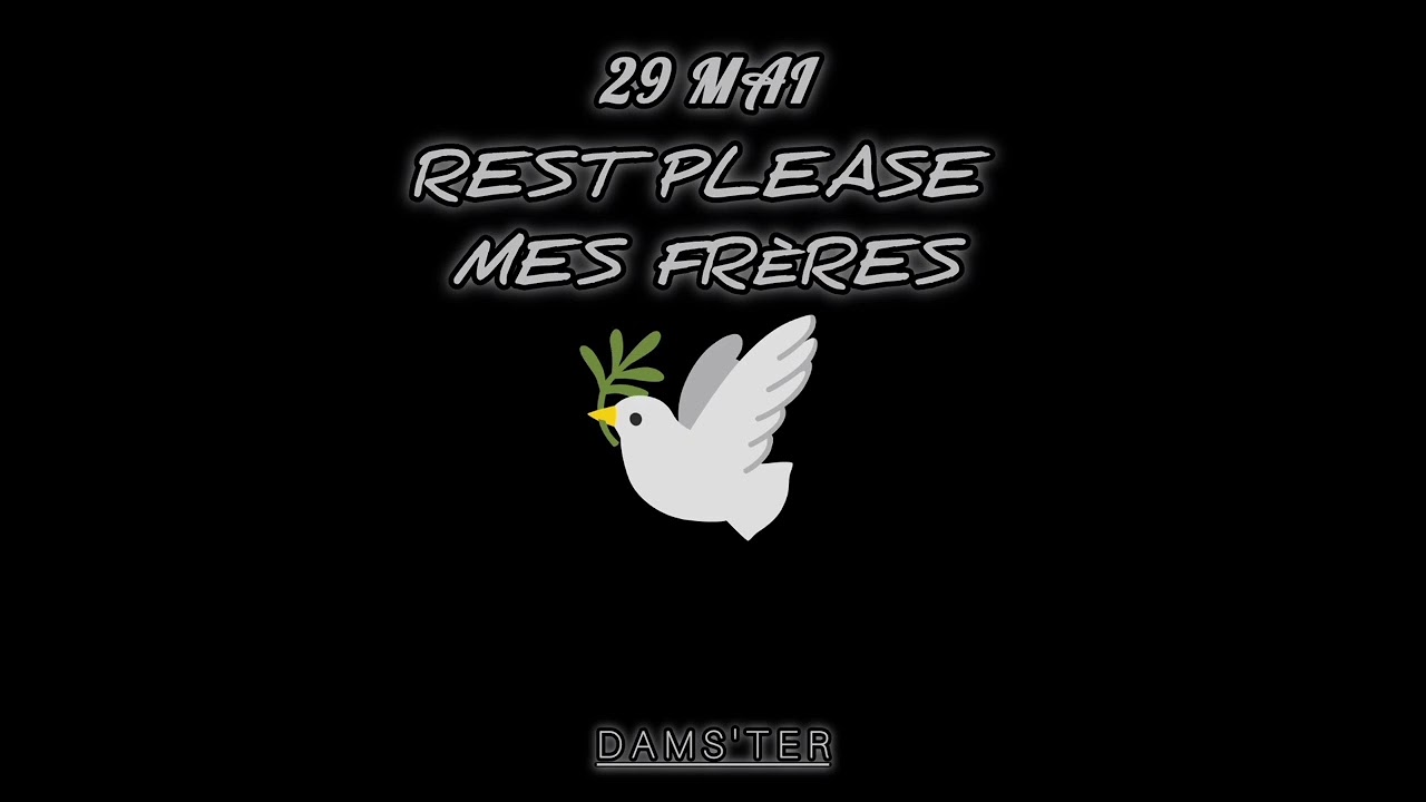 Dam'ster-_- Rest in please 🕊