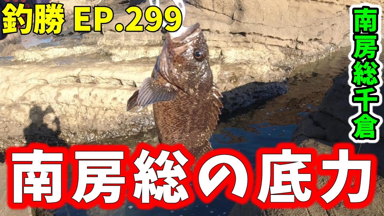 EP.299【千葉内房穴釣り】房総の先端で初となる根魚をゲット（南房総千倉）