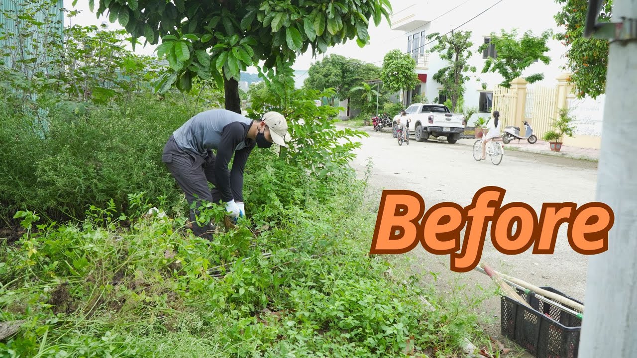 SHOCK, clearing the sidewalk that has been covered in soil and overgrown weeds for 5 years.