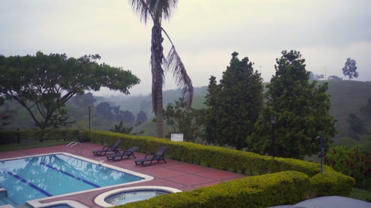 Incredible Morning Birdsong in Quimbaya, Colombia