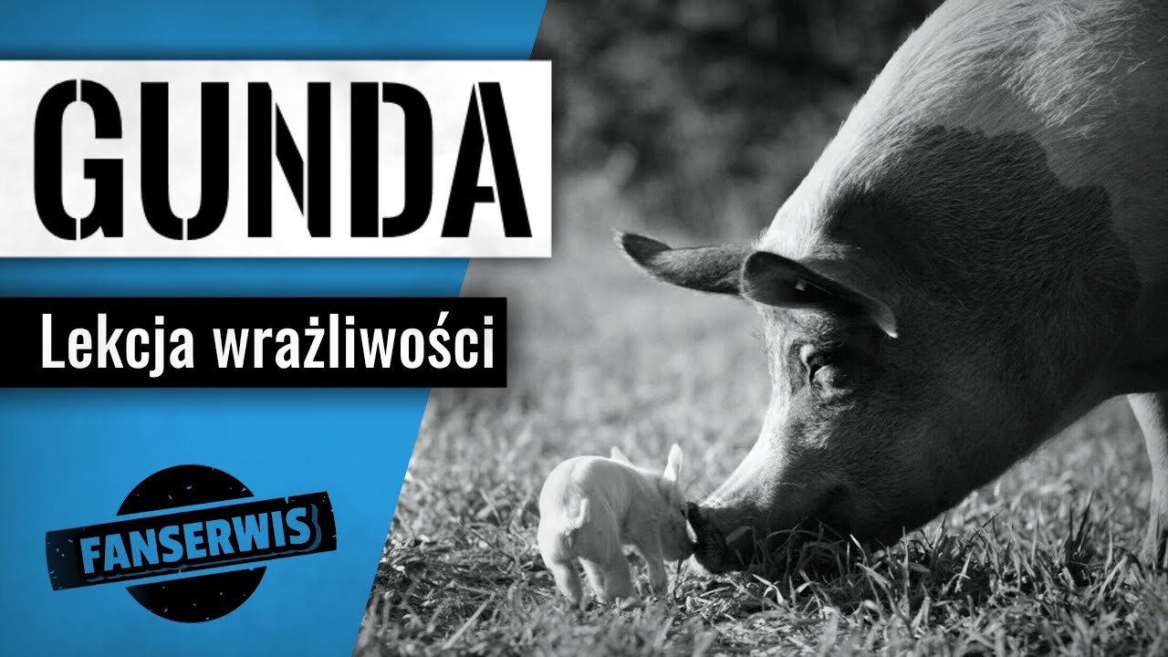 GUNDA - Lekcja wrażliwości | Fanserwis