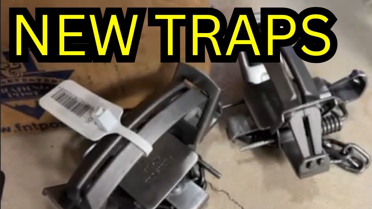 New Trap Setup  and Trying out New Bait/Lure