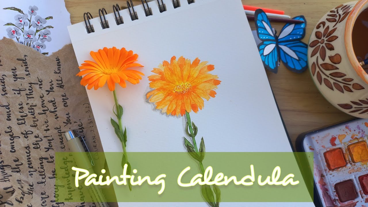 How to paint Calendula▪︎Painting flowers▪︎Watercolor flowers #calendula