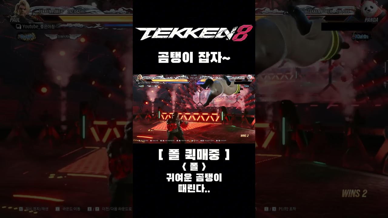 철권 8 시즌2 폴 곰탱이 잡자