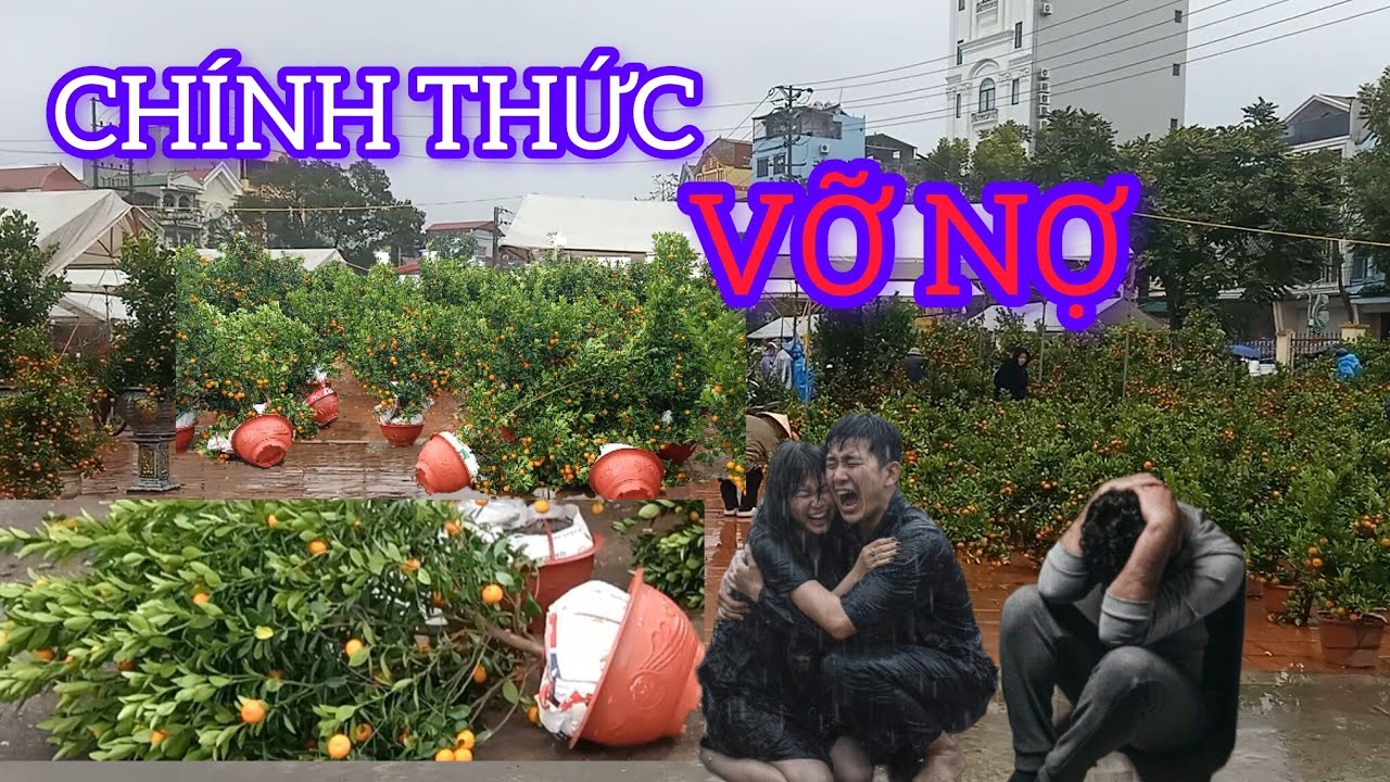 BỐ MẸ BẢO KHÔNG NGHE ĐI BUÔN QUẤT TẾT BÂY GIỜ KÊU AI SƯỚNG CHƯA 