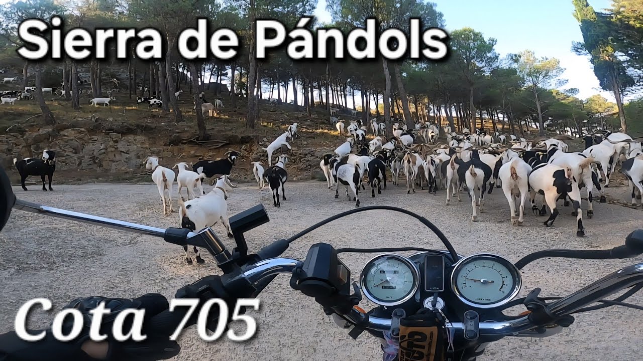 ✅️SUBIDA a Cota 705✅️(Sierra de Pandols)Pinell d Brai (Tarragona) #aventurasdenorberto#lama&ntilde;a#spain 