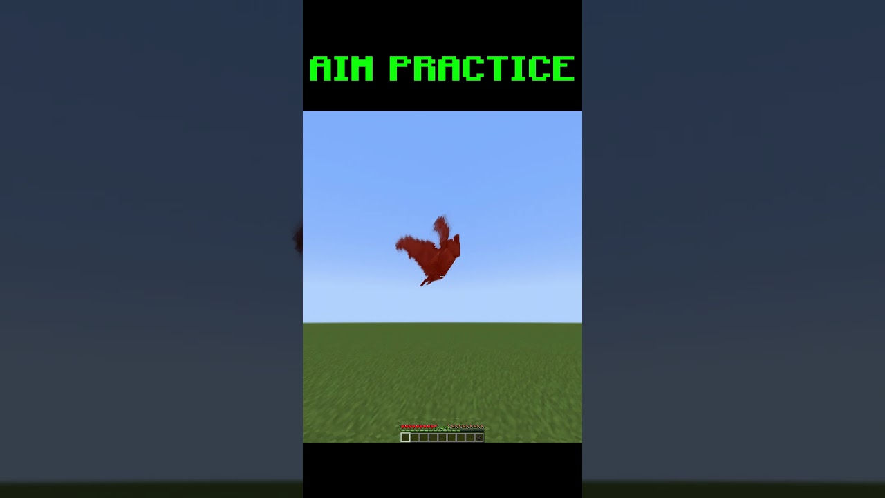 Aim Practice In Minecraft 💀#minecraft #minecraftmemes