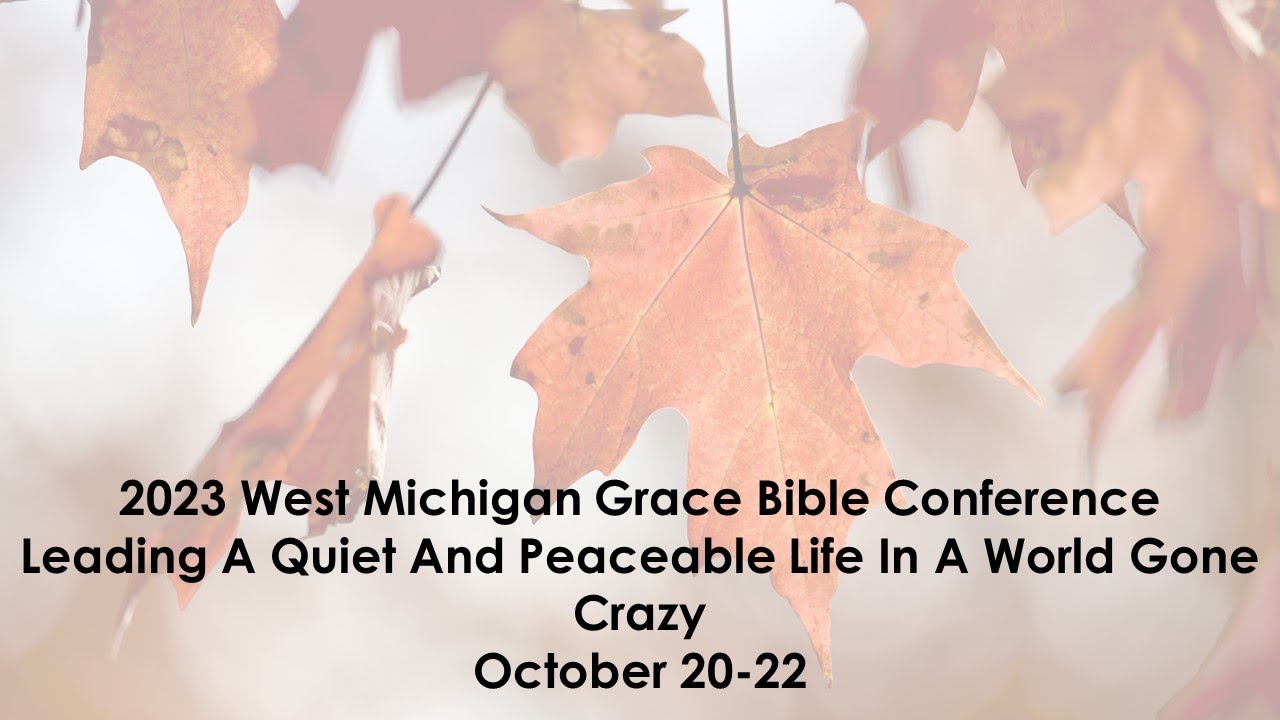 8) The Quiet & Peaceable Life In a World Gone Crazy — David Reid