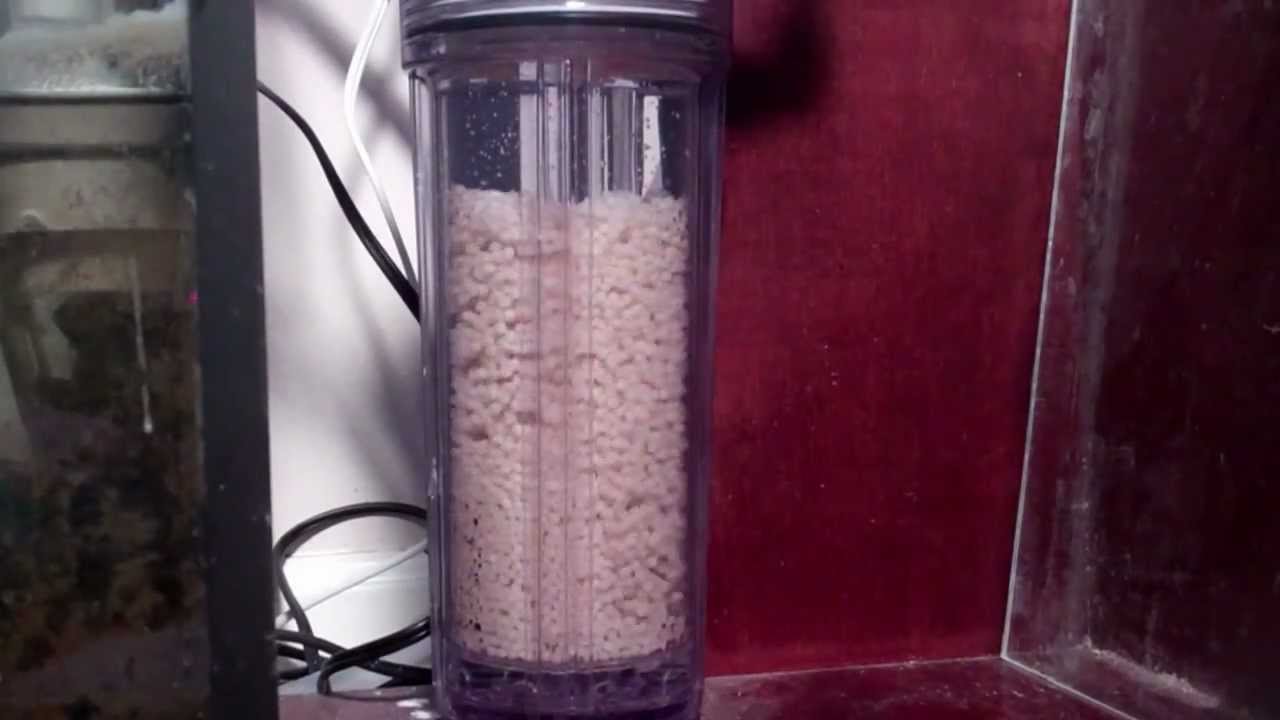 Biopellet Reactor