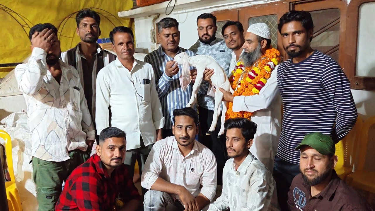 Team Rising ✨ Khargone Grand Welcome|| Haydrabadi Rolex Result||At Perfect Goat Farm🥰 
