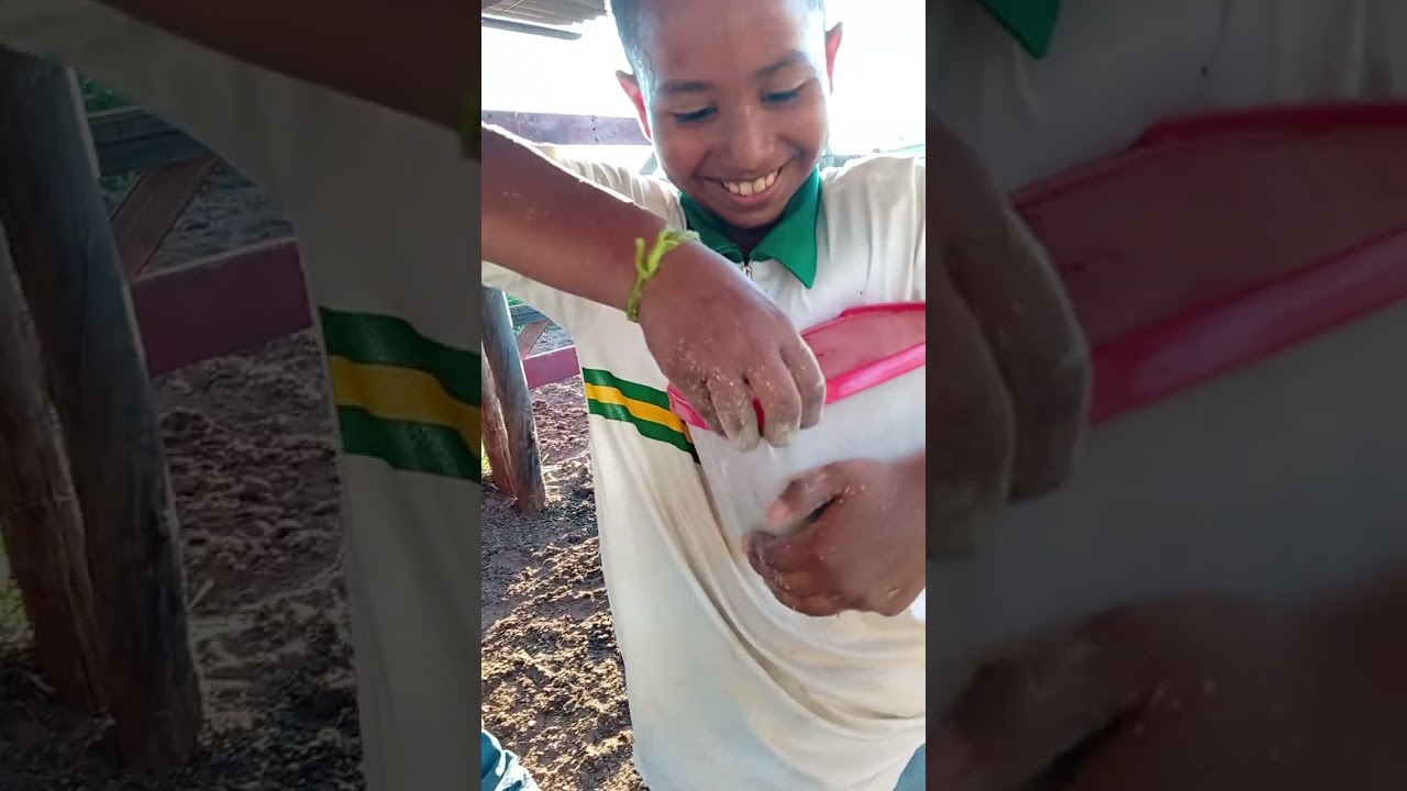 Manejo realizado por proprietários nenhum dos animais sofreu danos algum.@tudosobredoma3945 