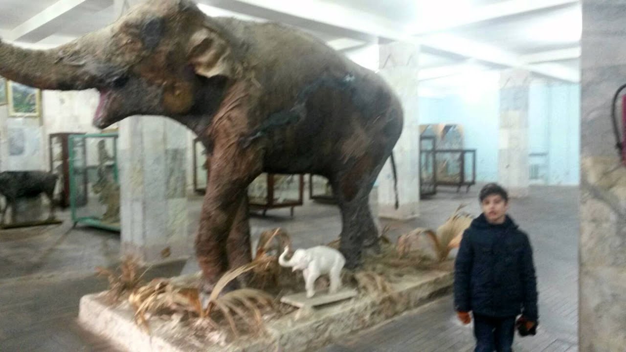 250 saylı məktəb 2a sinfinin muzey gəzintisi