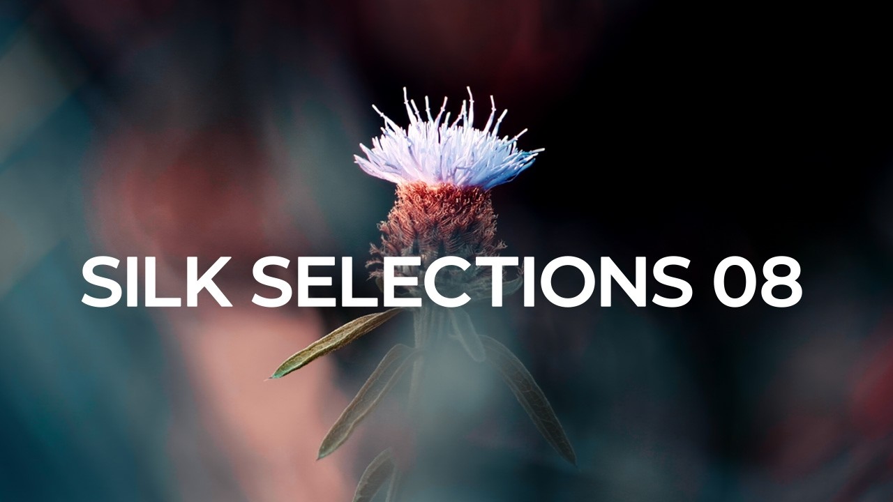 Silk Selections 08 (Continuous Mix) [Melodic House | Silk]