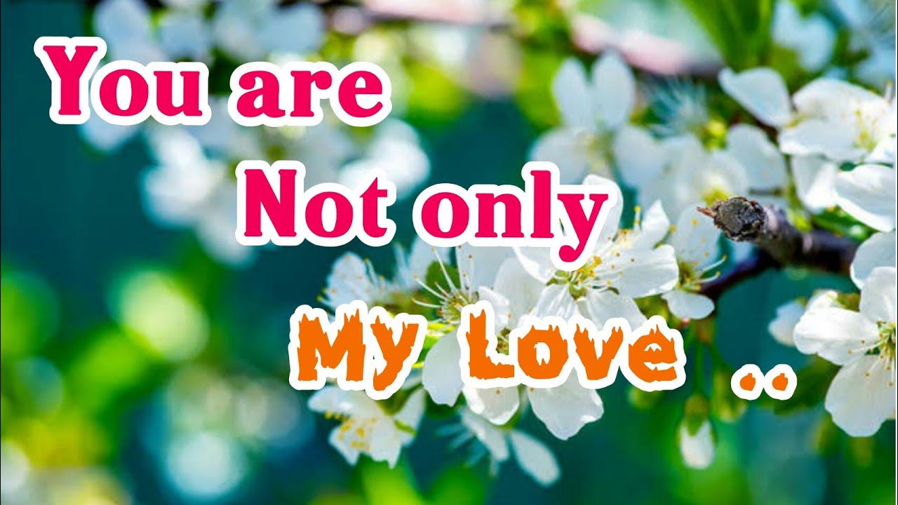 You are not only my love .. 🔥⚘🔥