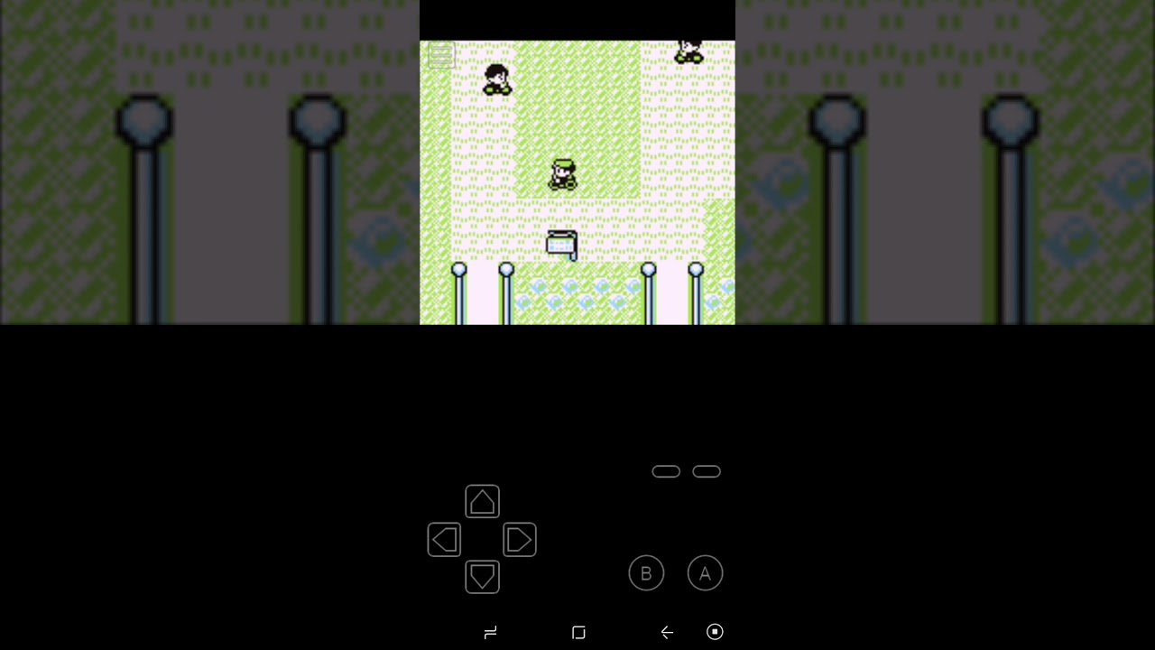 The Redo - ASMR Pokemon Red Randomizer Part 5!