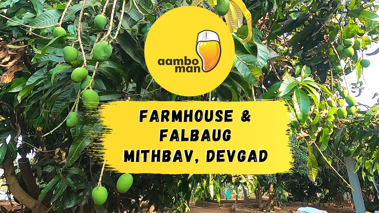 Farm House  - Devgad, Mithbav (Konkan) I फार्महाउस - देवगड, मिठबाव (कोकण) (हापूस अंब्या ची बाग)