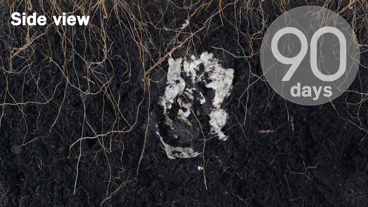 PTTMCC - BioPBS : Ambient Compostable Bioplastic-www.pttmcc.com