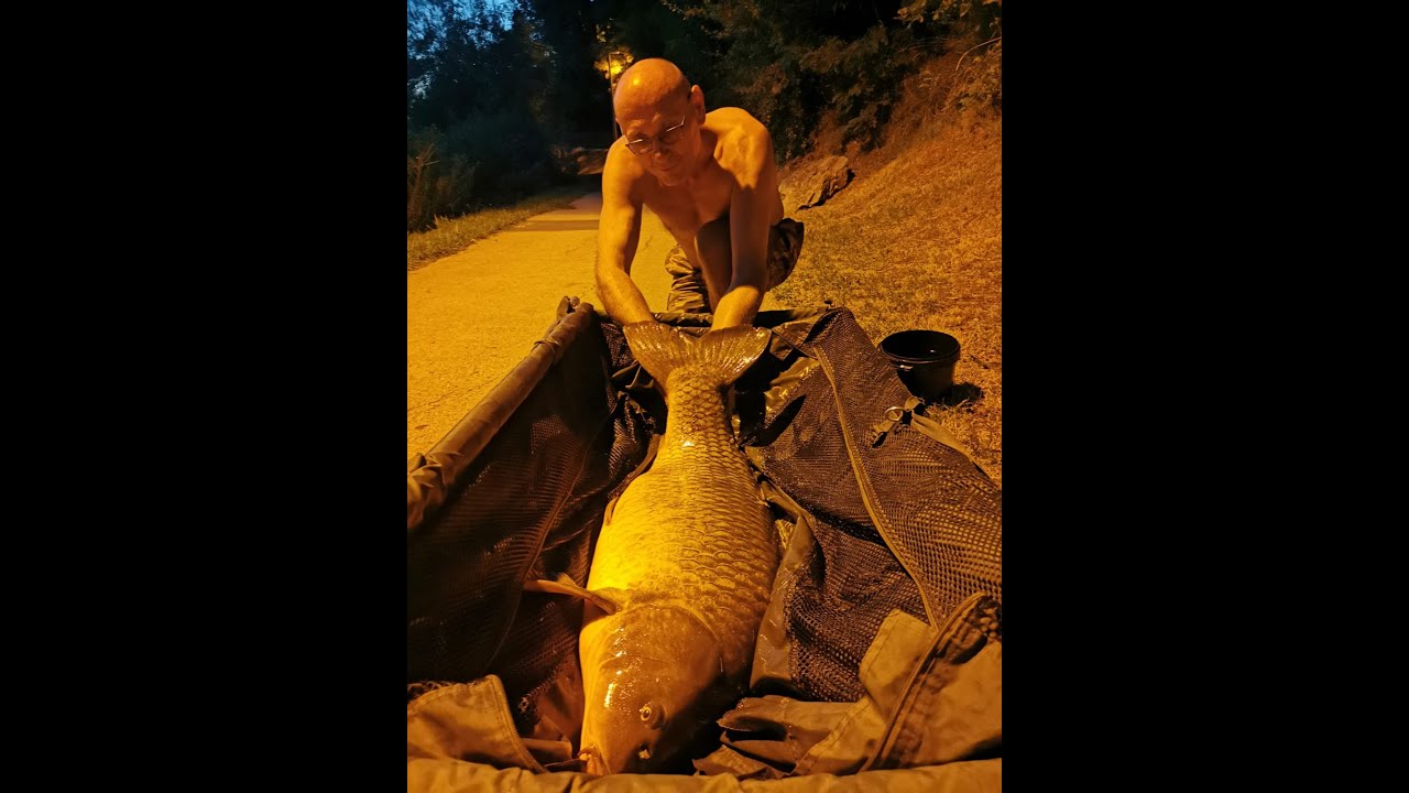 &Scaron;ARANI 2 X 20+ KG NA MREŽNICI-PRESTIGE BAITS