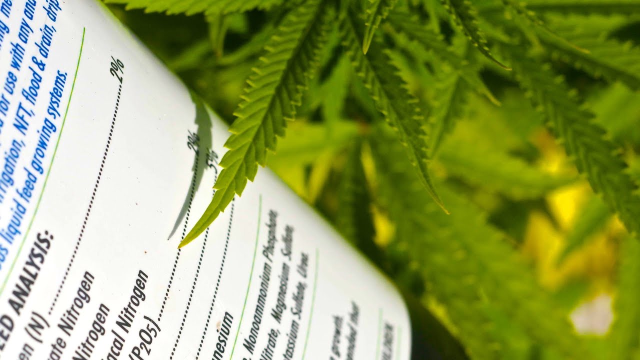 Marijuana Labeling and Testing Making Better Weed